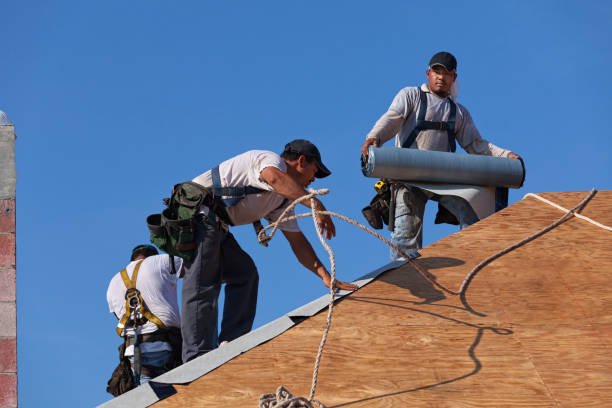 Professional Roofing Contractor in Brundidge, AL