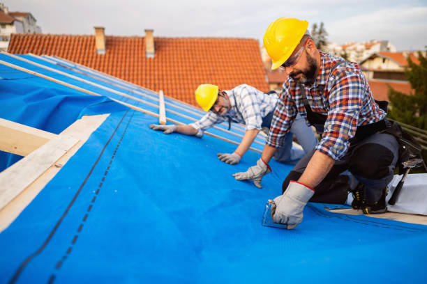 Roof Gutter Cleaning in Brundidge, AL