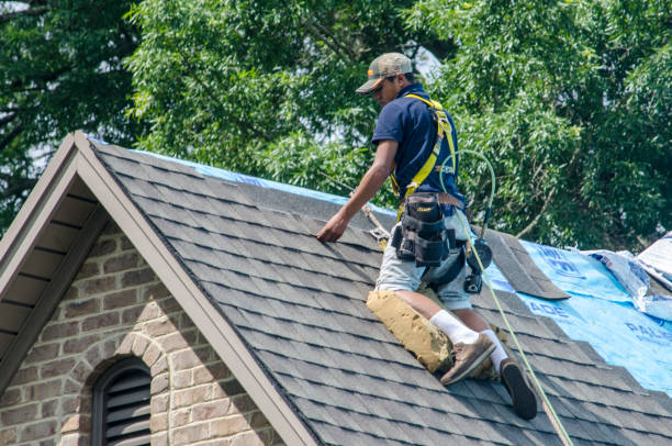 Best Local Roofing Companies  in Brundidge, AL
